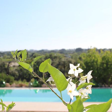 Affittacamere Trullo Il Melograno Ostuni Esterno foto