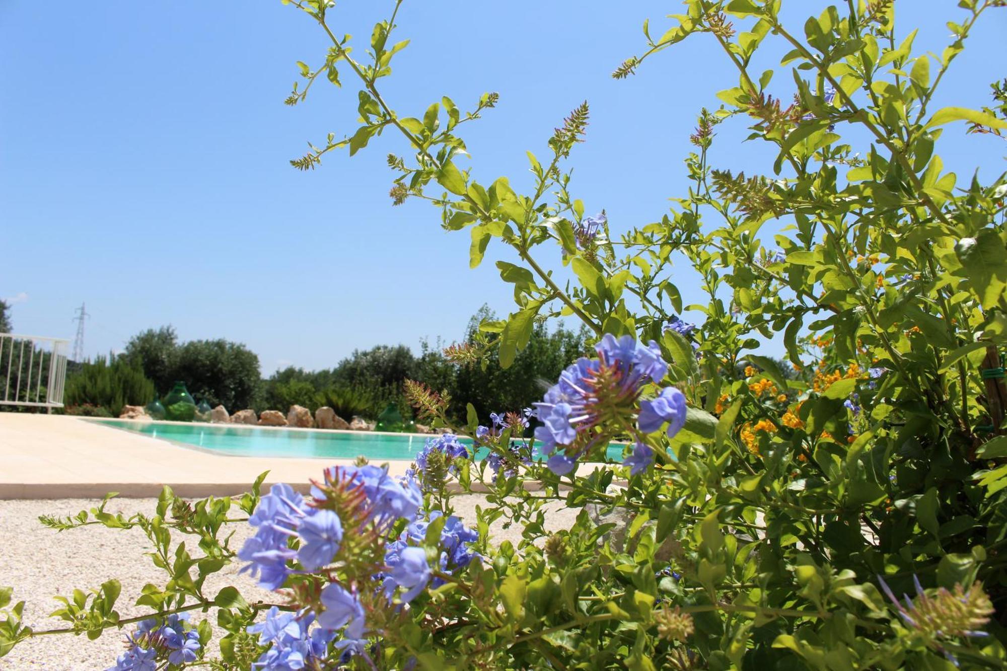 Affittacamere Trullo Il Melograno Ostuni Esterno foto