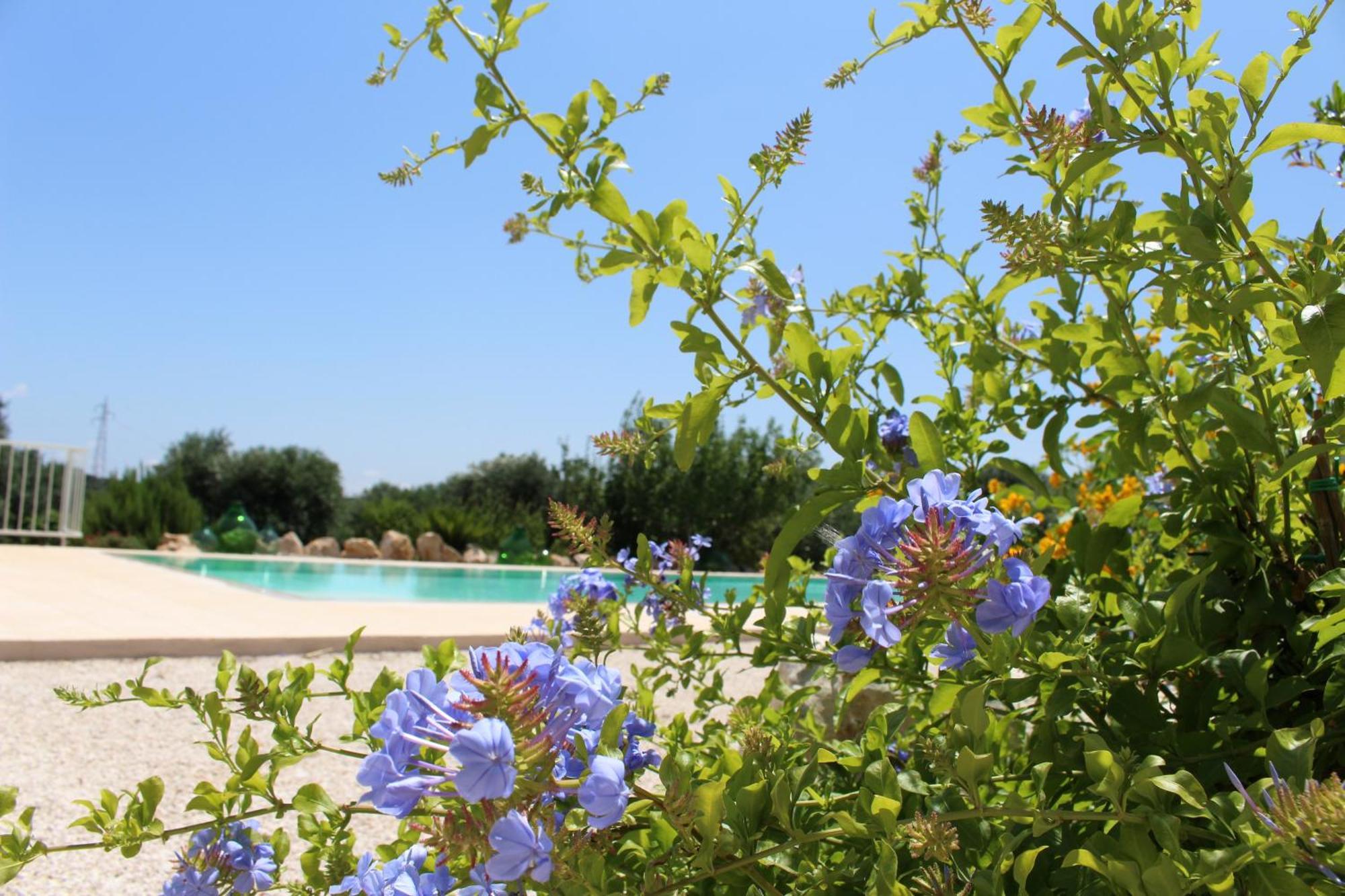Affittacamere Trullo Il Melograno Ostuni Esterno foto