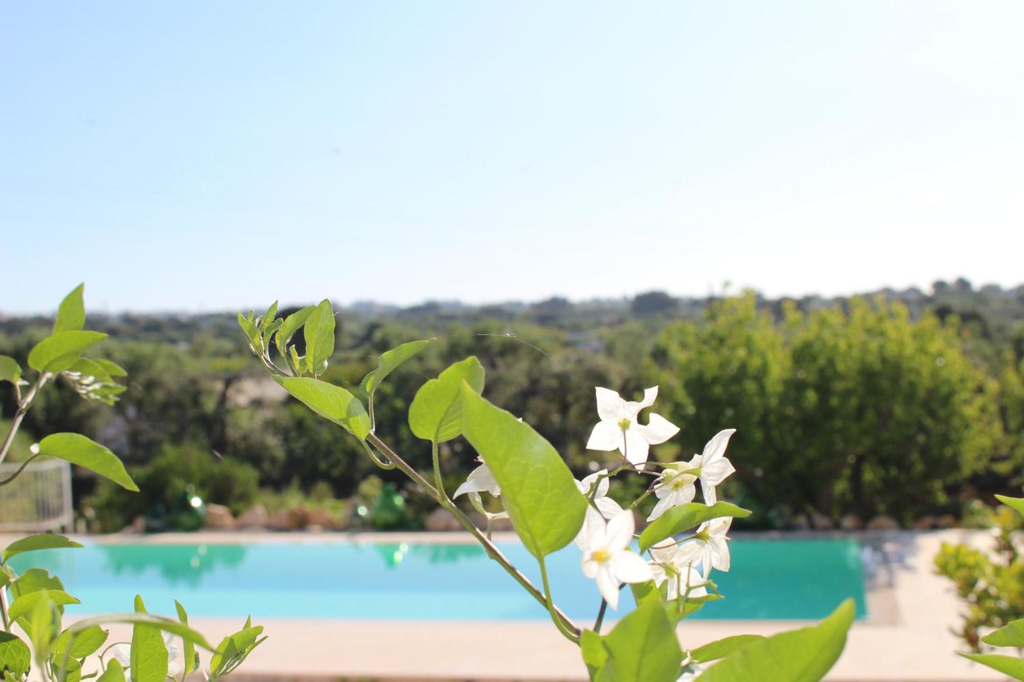 Affittacamere Trullo Il Melograno Ostuni Esterno foto
