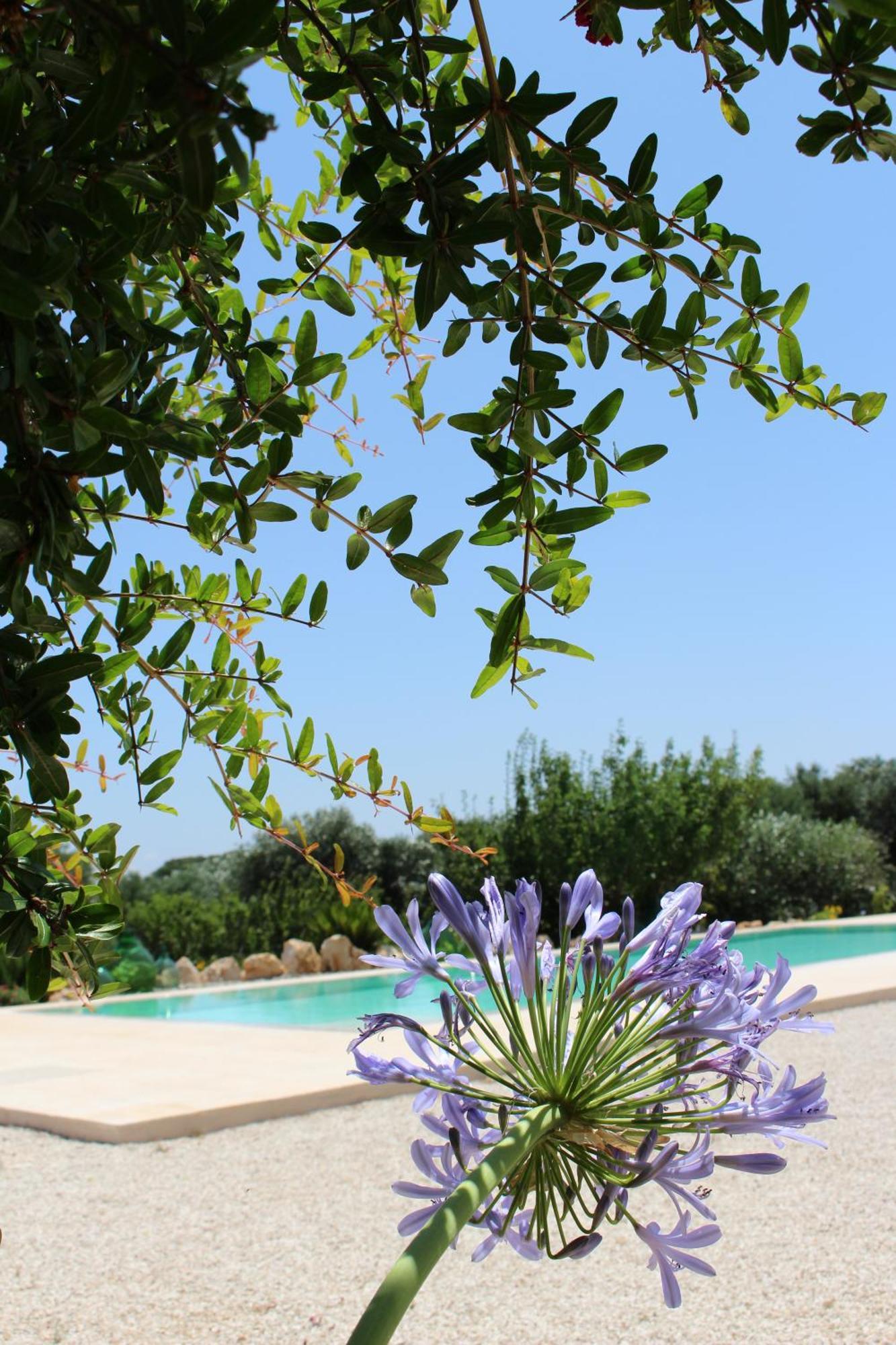 Affittacamere Trullo Il Melograno Ostuni Esterno foto