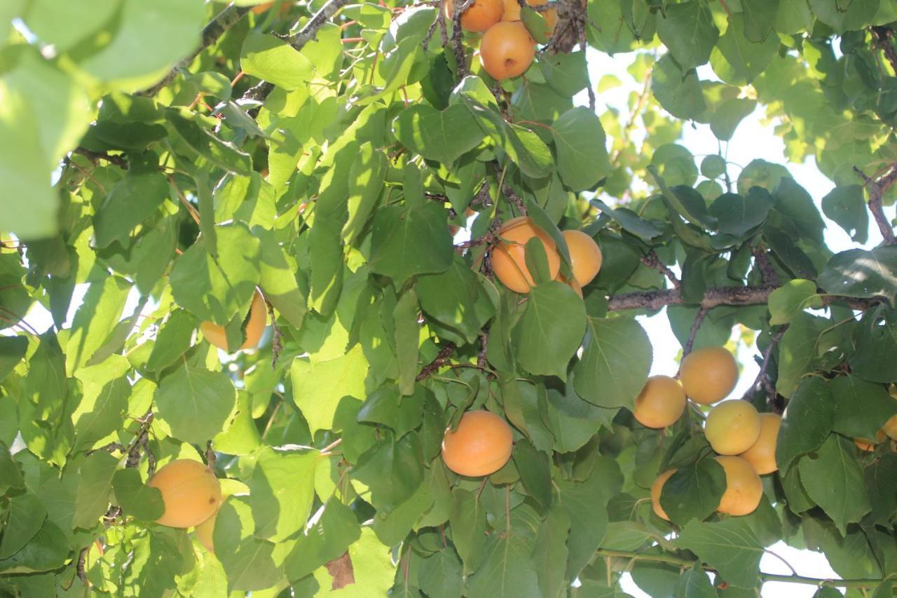 Affittacamere Trullo Il Melograno Ostuni Esterno foto